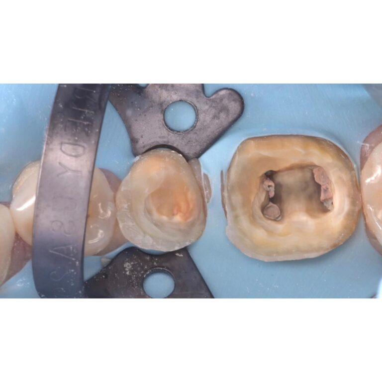 sbi_18024464560891187